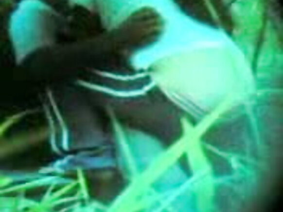 sexy movie sex with animals public hidden camera - جنس اڳوڻن وچ ۾ پوشيده ڪئميرا سان